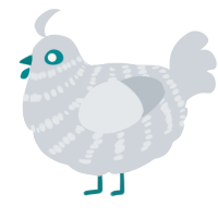A mist chicken with a bar pattern