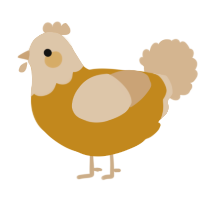 A ochre and beige chicken with a head pattern