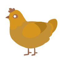 golden boy, a gold and ochre chicken with a head pattern