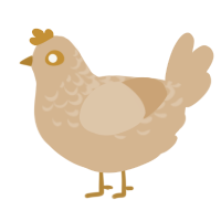 A beige chicken with a half-lace pattern