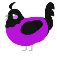A amethyst and black chicken with a head pattern