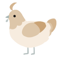 A cream and beige chicken with a head pattern