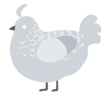 A mist chicken with a half-lace pattern