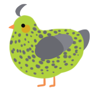 A indigo and ash chicken with a speckle pattern