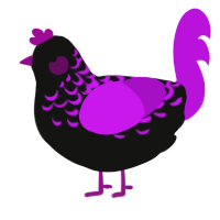 A black and amethyst chicken with a half-lace pattern