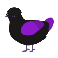 A sable and violet chicken