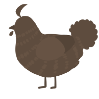 A bark chicken with a bar pattern