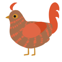 A brown and vermilion chicken with a bar pattern