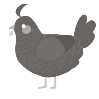 A grey chicken with a lace pattern