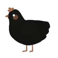 A black chicken with a head pattern