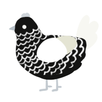 A black and white chicken with a lace pattern