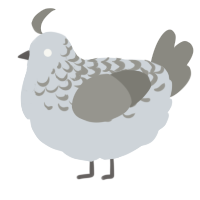 A mist and ash chicken with a half-lace pattern