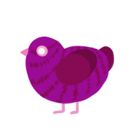 Raspberry, a plum and wine chicken with a bar pattern