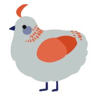 A silver and vermilion chicken with a neck-band pattern