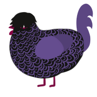 A black and overcast chicken with a double-lace pattern