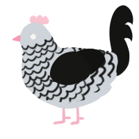 A mist and black chicken with a lace pattern