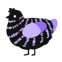 A black and lilac chicken with a bar pattern