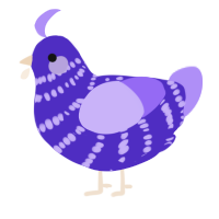 A indigo and lilac chicken with a bar pattern