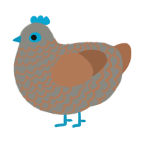 A ash and brown chicken with a lace pattern