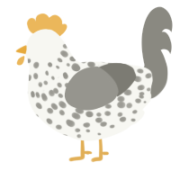 A white and ash chicken with a speckle pattern