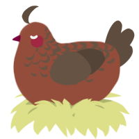 A russet and bark chicken with a half-lace pattern