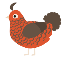 A vermilion and bark chicken with a lace pattern