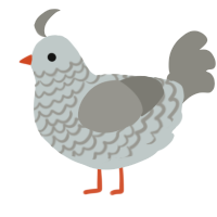 A silver and ash chicken with a lace pattern