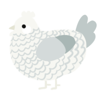 A white and silver chicken with a lace pattern