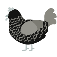 A black and ash chicken with a lace pattern