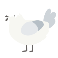A white and mist chicken