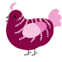 A maroon and pink chicken with a half-bar pattern