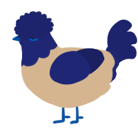 A beige and navy chicken with a head pattern