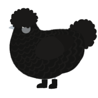 A black and sable chicken with a lace pattern