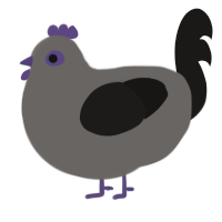 A grey and sable chicken