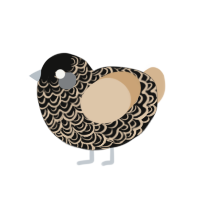 Coin, a black and beige chicken with a double-lace pattern