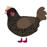 A black and bark chicken with a double-lace pattern