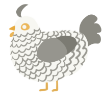 A white and ash chicken with a lace pattern