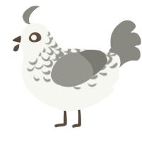 A white and ash chicken with a half-lace pattern