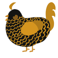 A black and ochre chicken with a lace pattern
