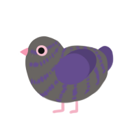 dusty rose, a grey and overcast chicken with a bar pattern