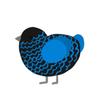 Mysterious Cavern, a sable and sapphire chicken with a lace pattern