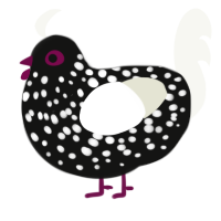 A black and white chicken with a speckle pattern