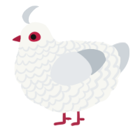 A white and mist chicken with a lace pattern