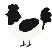A white and black chicken with a head pattern