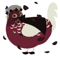A mint and tumblr chicken with a half-lace pattern