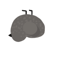 A grey chicken with a speckle pattern