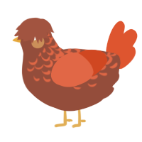 A russet and vermilion chicken with a half-lace pattern