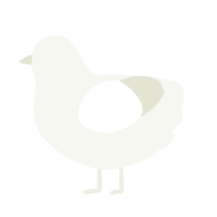 A white chicken