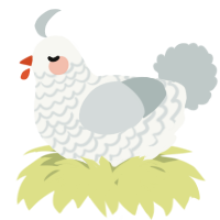 A white and silver chicken with a lace pattern