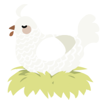 A white chicken with a lace pattern